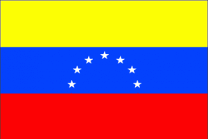 La protezione degli investimenti italiani in Venezuela.