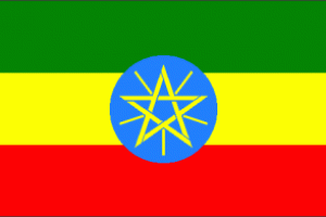 La protezione degli investimenti italiani in Etiopia.