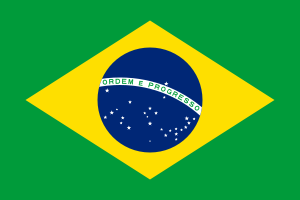 La sottrazione internazionale di minorenni in Brasile