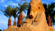 Avvocati in Egitto: promozione e protezione degli investimenti